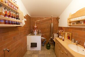 Apart Central – Premium Mountain & Garden