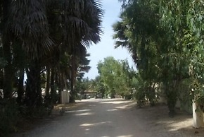 Holiday Beach Club Hotel