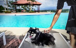 Hillary Nature Resort Spa