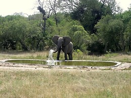 Sabie River Bush Lodge