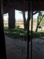 Sabie River Bush Lodge