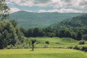 Allegheny Springs