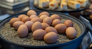 Best Western Plus Plaza Berlin Kurfuerstendamm