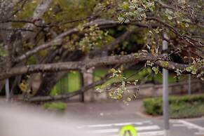 Bayswater Boutique Lodge - Potts Point