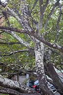 Bayswater Boutique Lodge - Potts Point