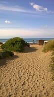 Beach House
