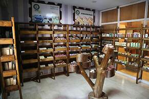 Pineland Hotel and Health Resort