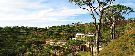 Pineland Hotel and Health Resort