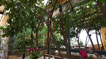 Boyuguzel Termal Hotel