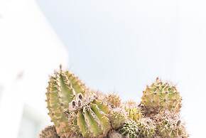 Agave Santorini Design Boutique Hotel