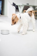 Agave Santorini Design Boutique Hotel