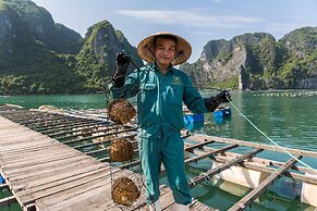 Heritage Line Violet cruise – Ha Long Bay & Lan Ha Bay