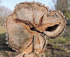 Ytterjärna Hotell & Konferens