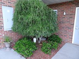 Affordable Suites Kannapolis