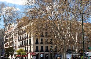 SLEEP’N Atocha – B Corp Certified