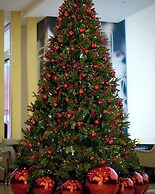 ibis Ambassador Seoul Insadong (Newly renovated in 2025)