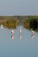 Hotel AR Golf Almerimar