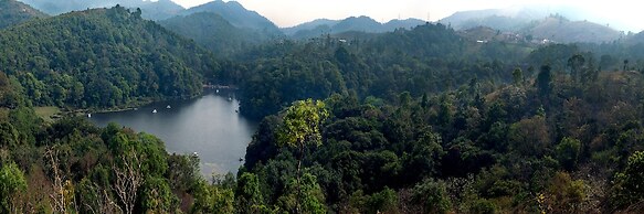 Grassroots Wayanad, Valley-view Tents