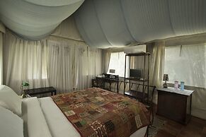 Grassroots Wayanad, Valley-view Tents