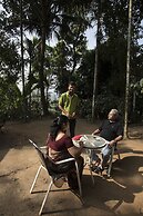 Grassroots Wayanad, Valley-view Tents