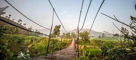 Grassroots Wayanad, Valley-view Tents