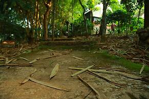 Grassroots Wayanad, Valley-view Tents