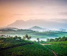 Grassroots Wayanad, Valley-view Tents