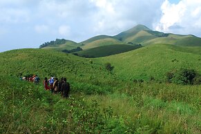 Grassroots Wayanad, Valley-view Tents