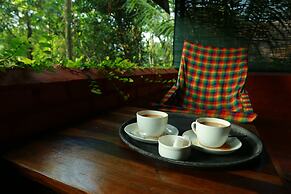 Grassroots Wayanad, Valley-view Tents