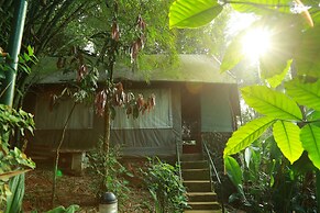 Grassroots Wayanad, Valley-view Tents