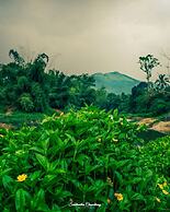 Grassroots Wayanad, Valley-view Tents