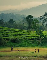 Grassroots Wayanad, Valley-view Tents