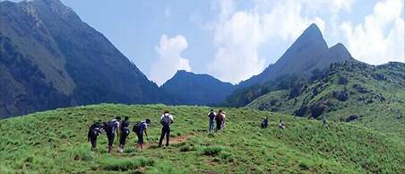 Grassroots Wayanad, Valley-view Tents