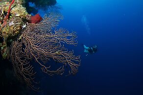 Holiday Inn Resort Grand Cayman by IHG