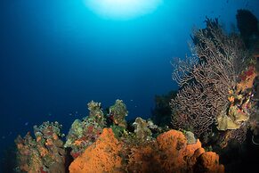 Holiday Inn Resort Grand Cayman by IHG