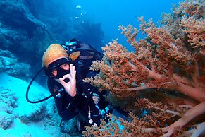 Sunshine Marine Lodge