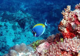 Sunshine Marine Lodge