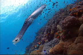 Sunshine Marine Lodge