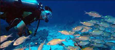 Sunshine Marine Lodge