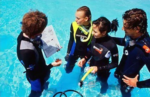 Sunshine Marine Lodge