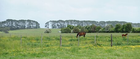 The Barn Accommodation