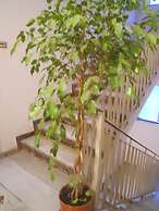 Catania Crossing B&B Rooms and Comforts