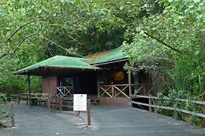 Permai Rainforest Resort