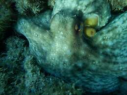 Residence la Chimera