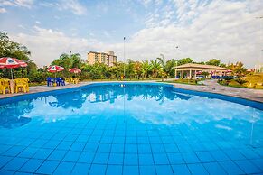 Golden Dolphin Express OFICIAL