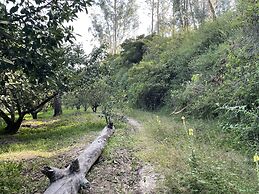 Quito Airport Suites