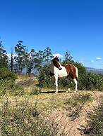 Quito Airport Suites