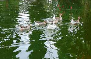 Quito Airport Suites