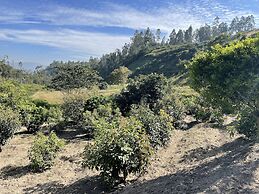 Quito Airport Suites