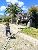 Quito Airport Suites